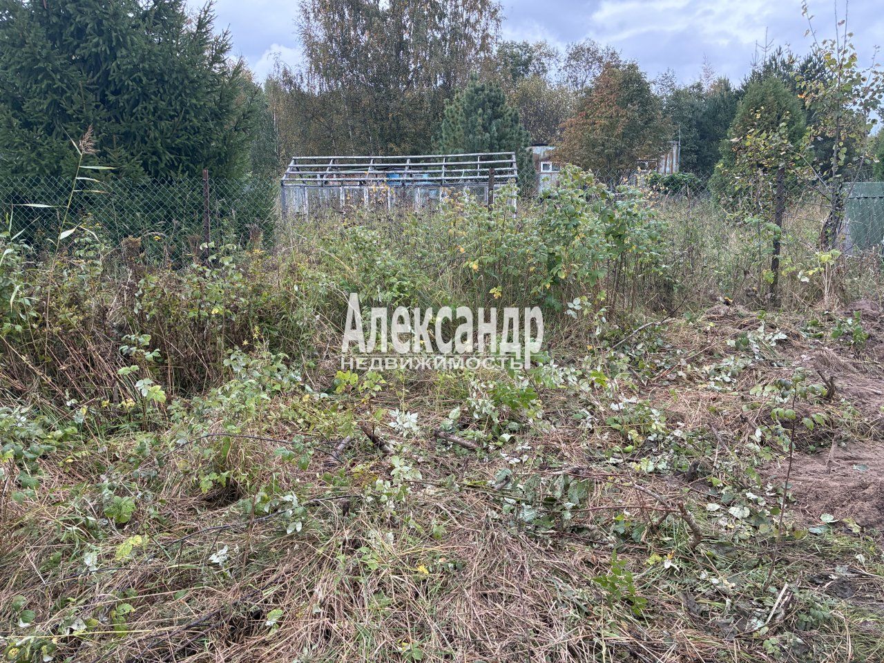 Участок (12м2) на продажу — фото 15 из 24