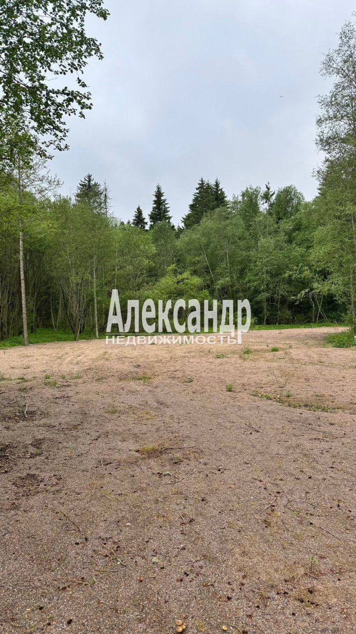 Участок (98м2) на продажу — фото 18 из 27