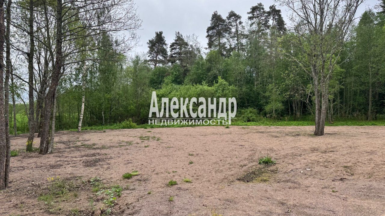 Участок (98м2) на продажу — фото 20 из 27