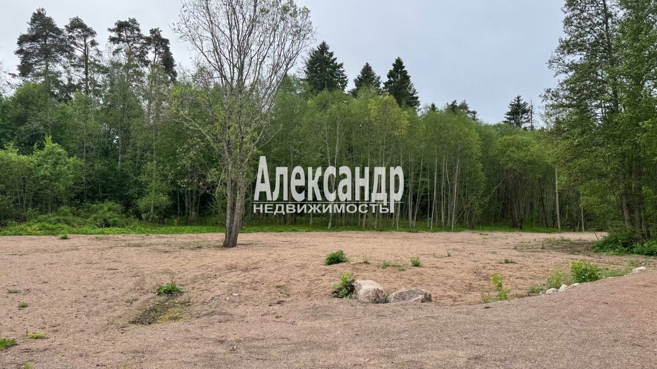 Участок (98м2) на продажу — фото 21 из 27