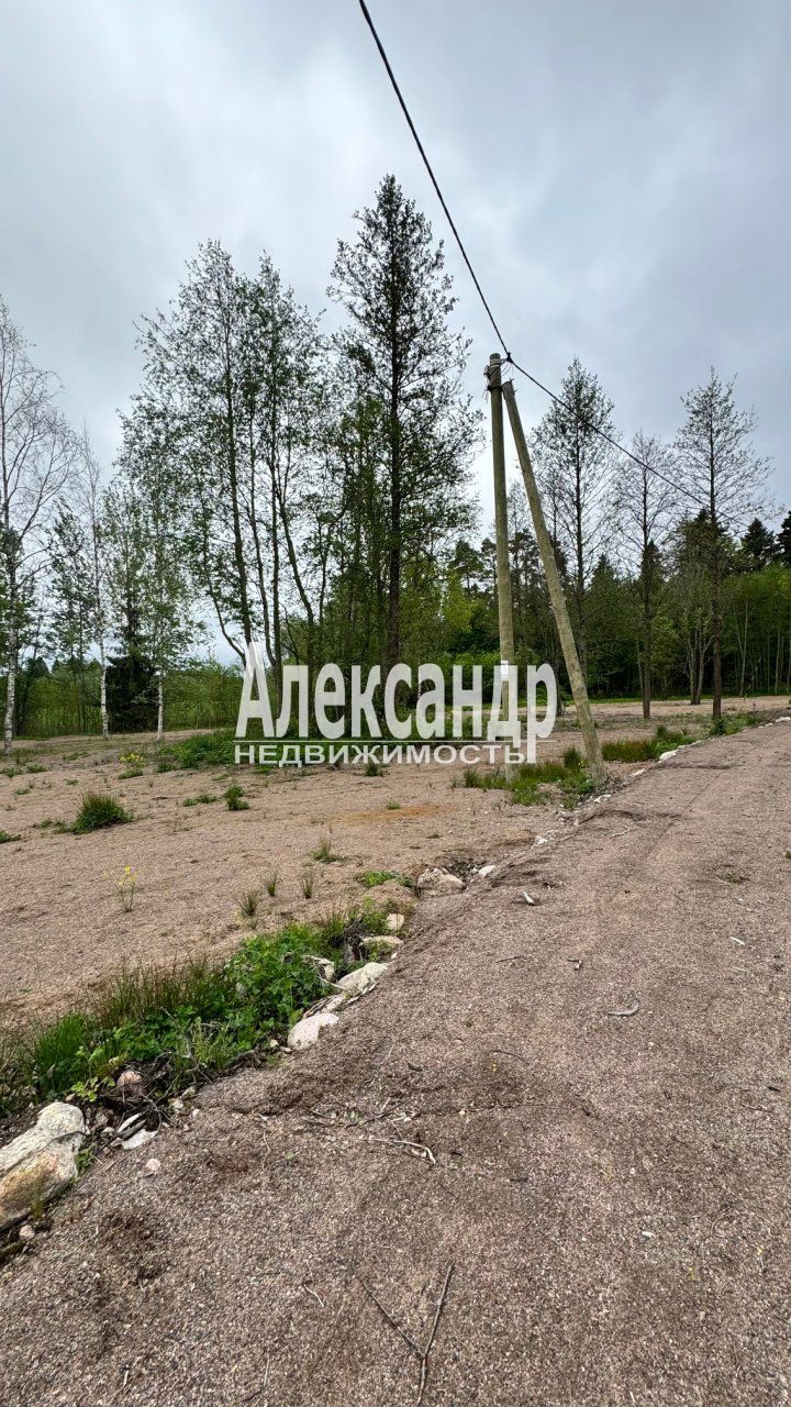 Участок (98м2) на продажу — фото 23 из 27