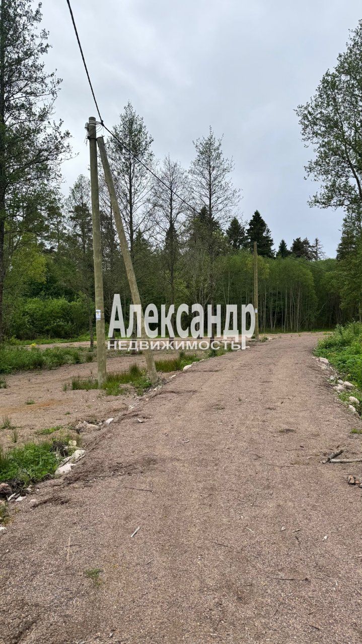 Участок (98м2) на продажу — фото 25 из 27