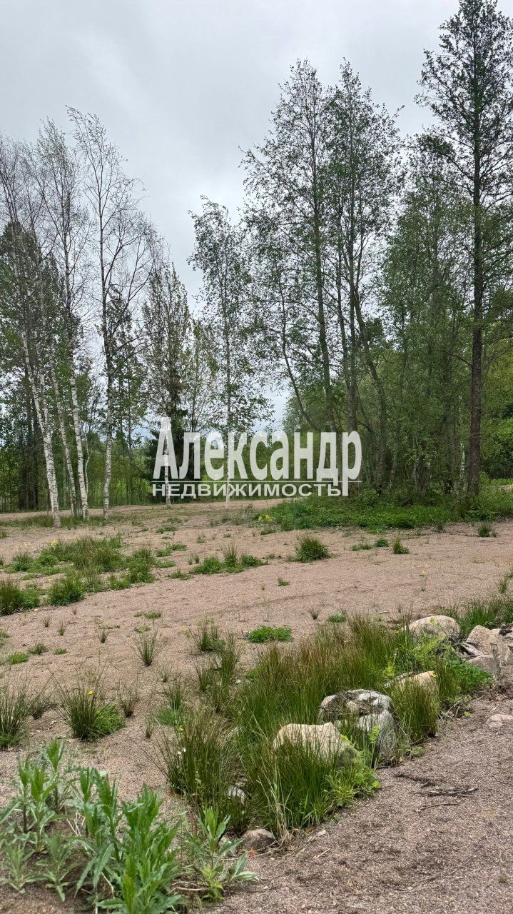 Участок (98м2) на продажу — фото 26 из 27