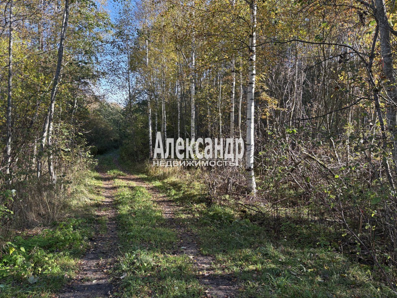 Участок (11м2) на продажу — фото 3 из 6