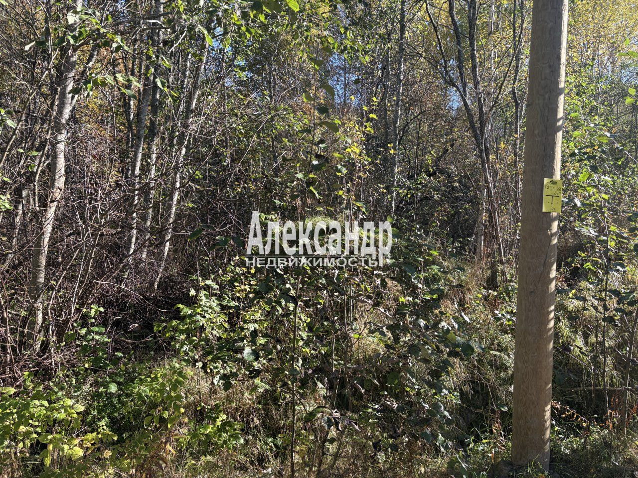 Участок (11м2) на продажу — фото 4 из 6