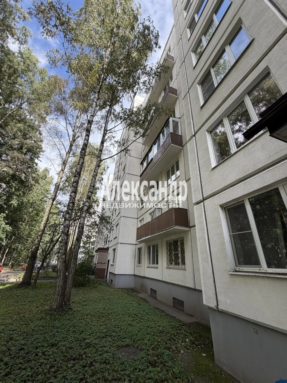 1-комнатная квартира (31м2) на продажу по адресу Санкт-Петербург, улица Брянцева, 2к1— фото 19 из 28