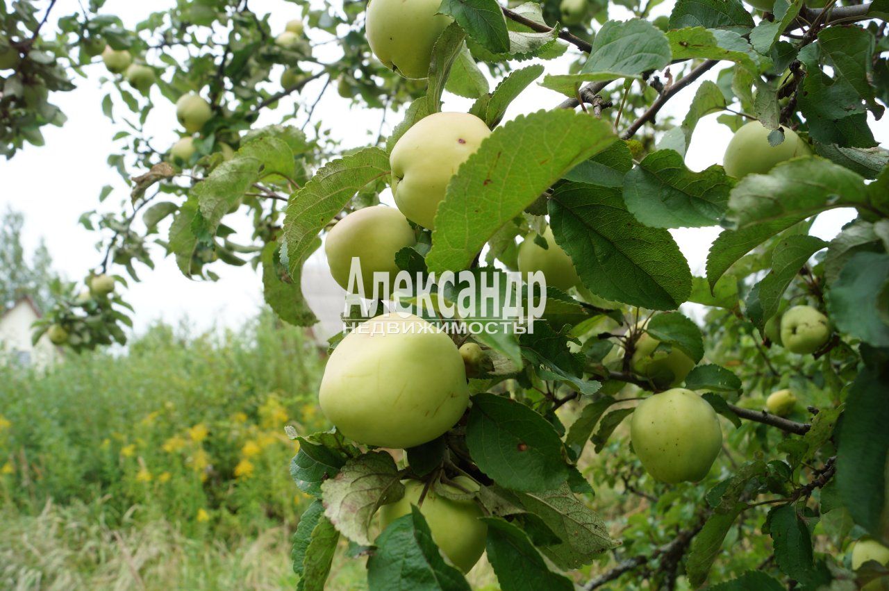 Участок (6м2) на продажу — фото 13 из 31