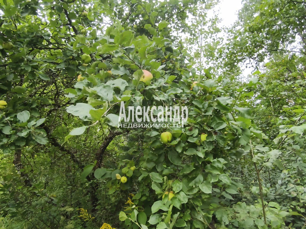 Участок (6м2) на продажу — фото 23 из 31