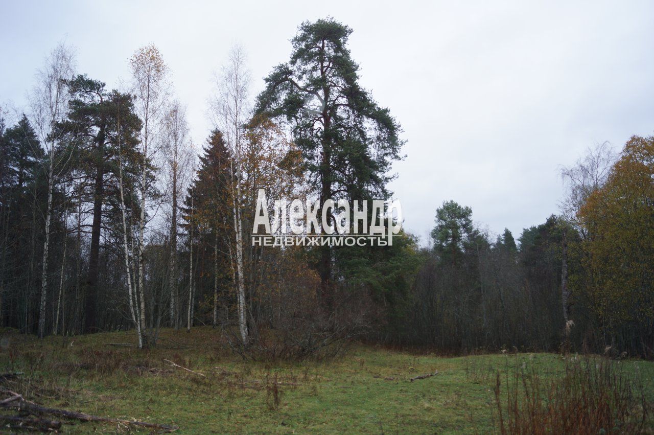 Участок (15м2) на продажу — фото 4 из 28