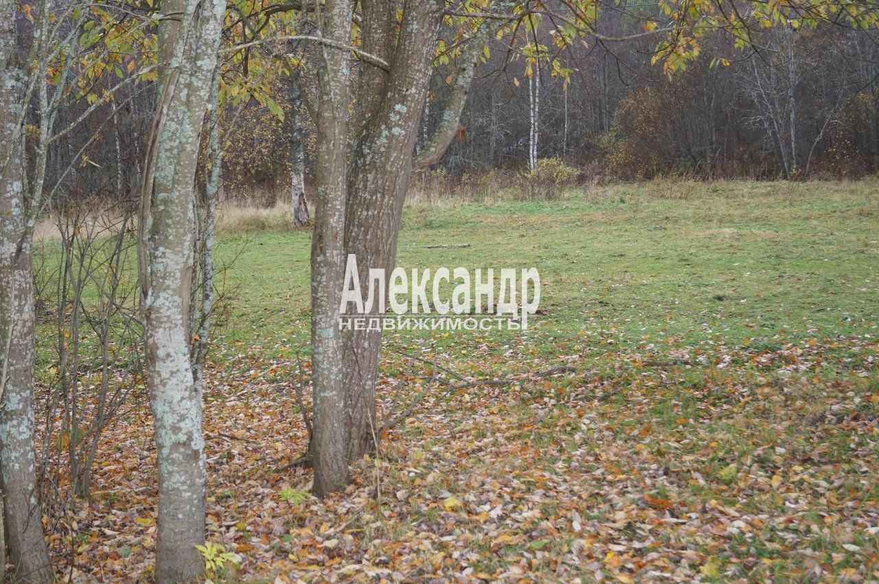Участок (15м2) на продажу — фото 8 из 28
