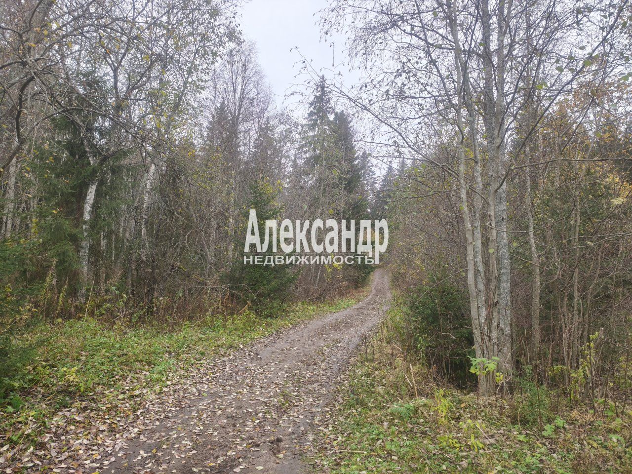 Участок (15м2) на продажу — фото 18 из 28