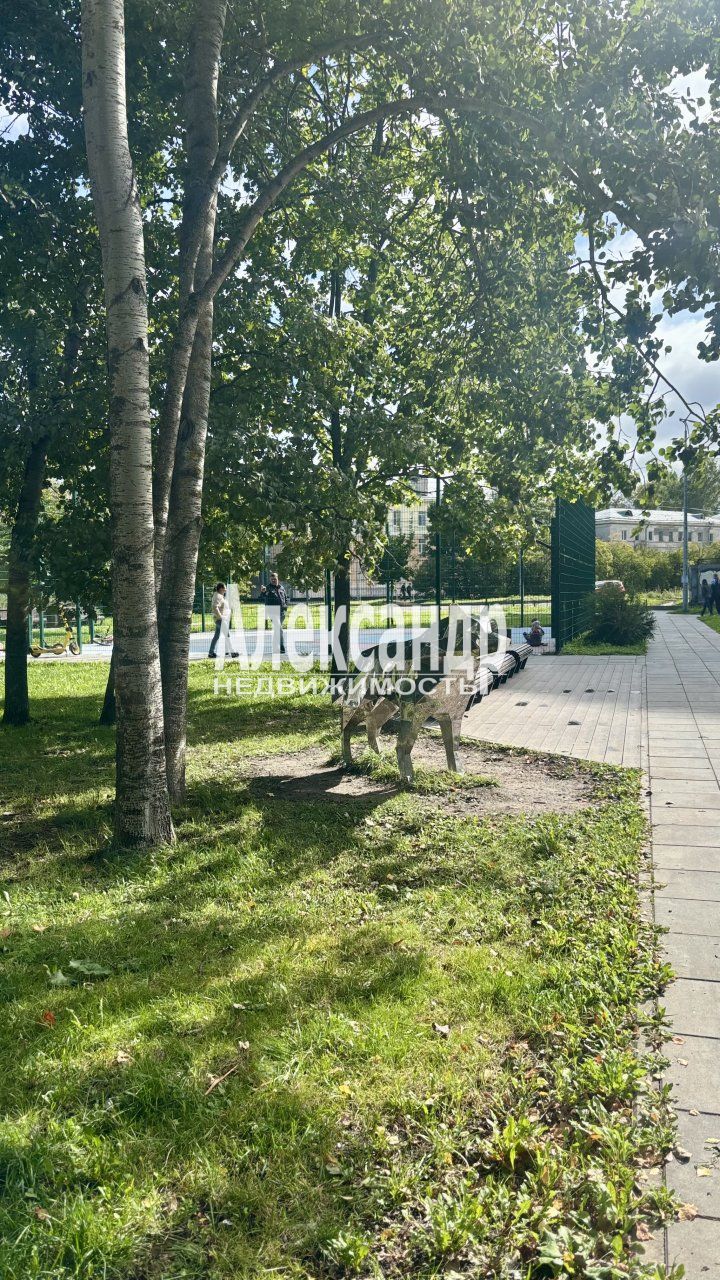 2-комнатная квартира (46м2) на продажу по адресу Санкт-Петербург, улица Пионерстроя, 10к3— фото 5 из 27