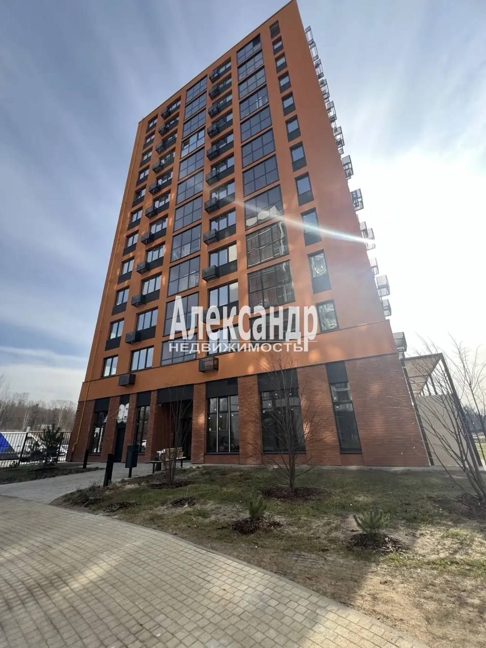 Студия (24м2) в аренду — фото 1 из 13