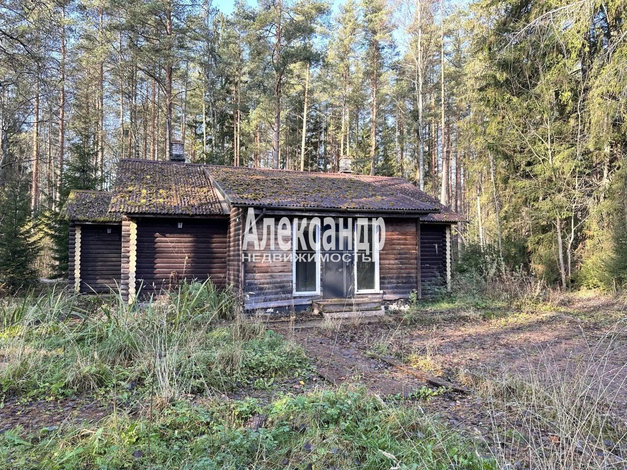 Дачный дом (82м2) на продажу — фото 1 из 28