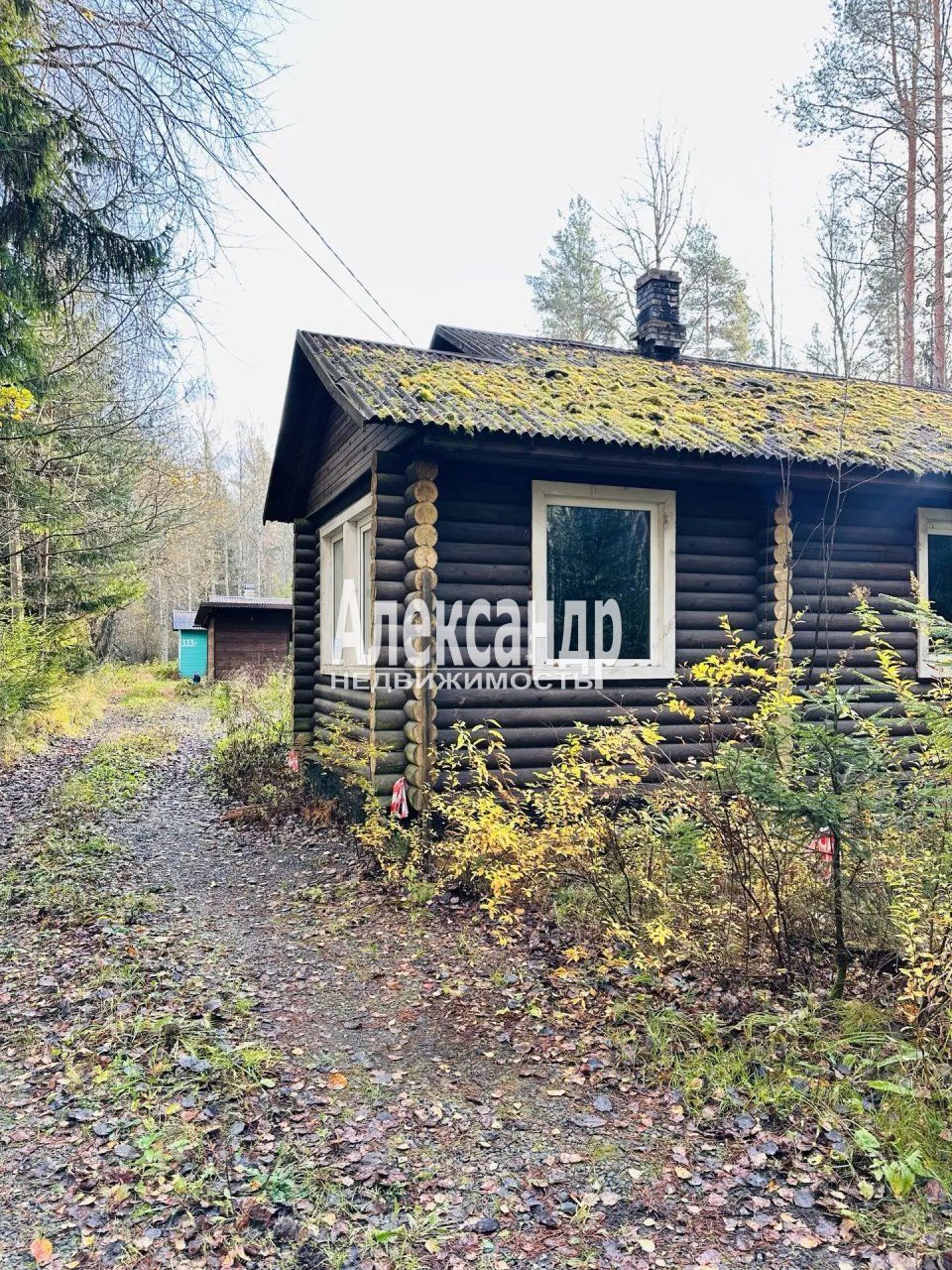Дачный дом (82м2) на продажу — фото 4 из 28