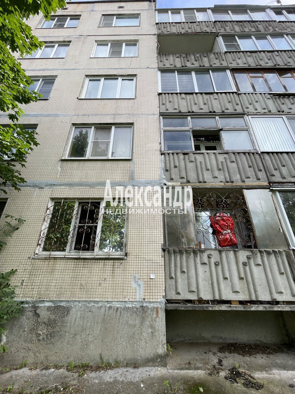 1-комнатная квартира (37м2) на продажу по адресу Ленинградская область, Гатчинский муниципальный округ, Коммунар, Пионерская улица, 21— фото 22 из 24