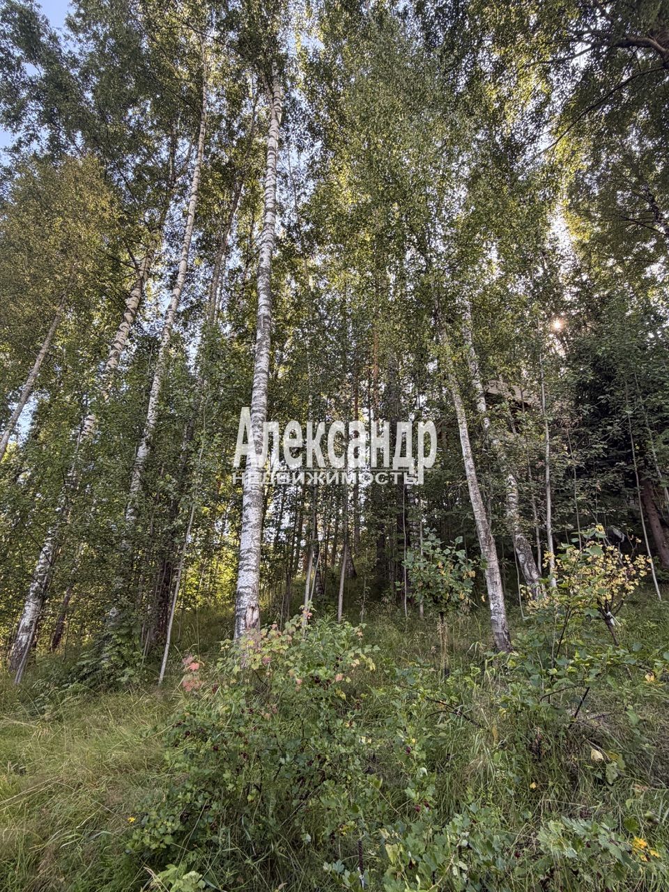 Участок