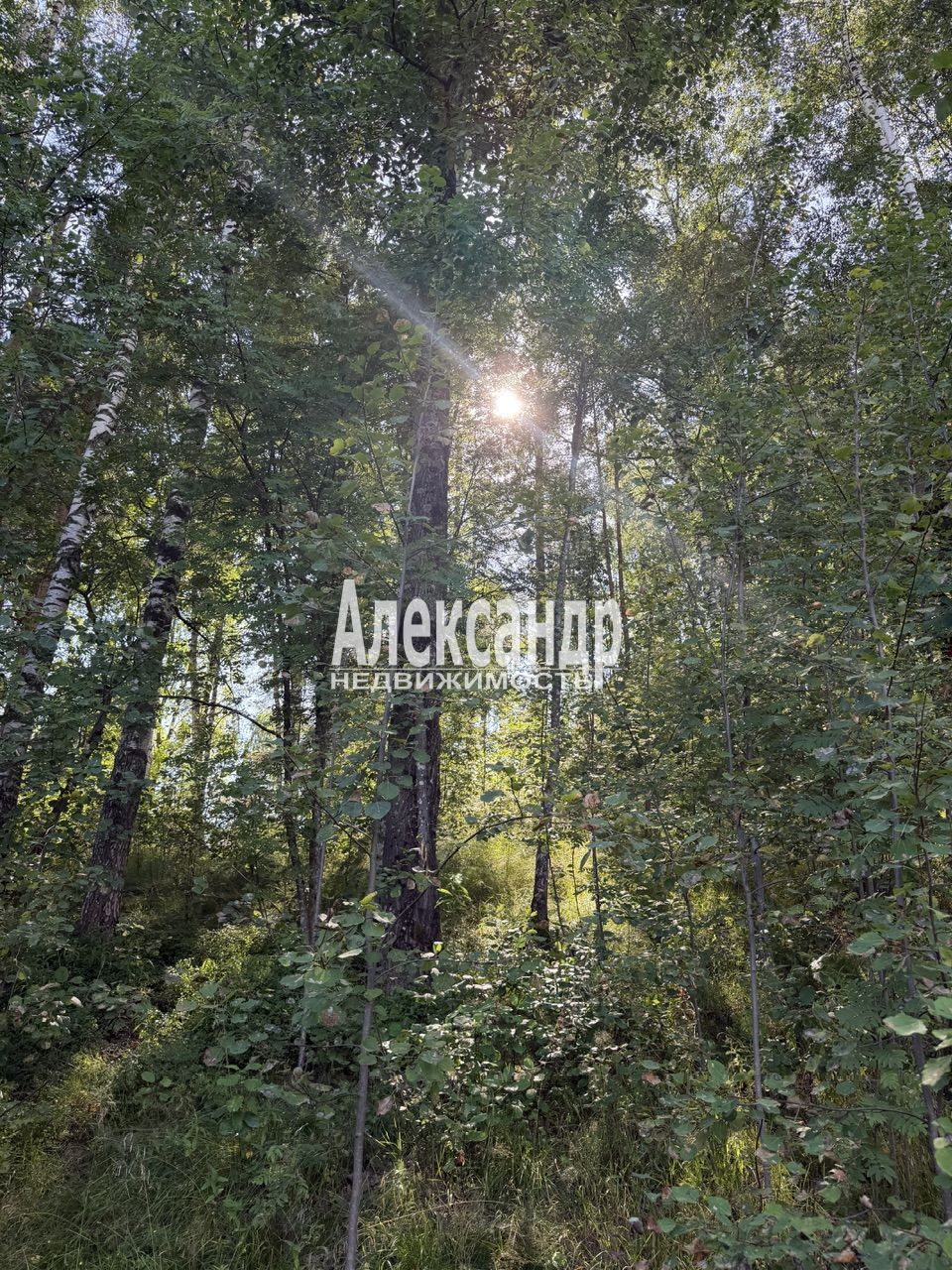 Участок