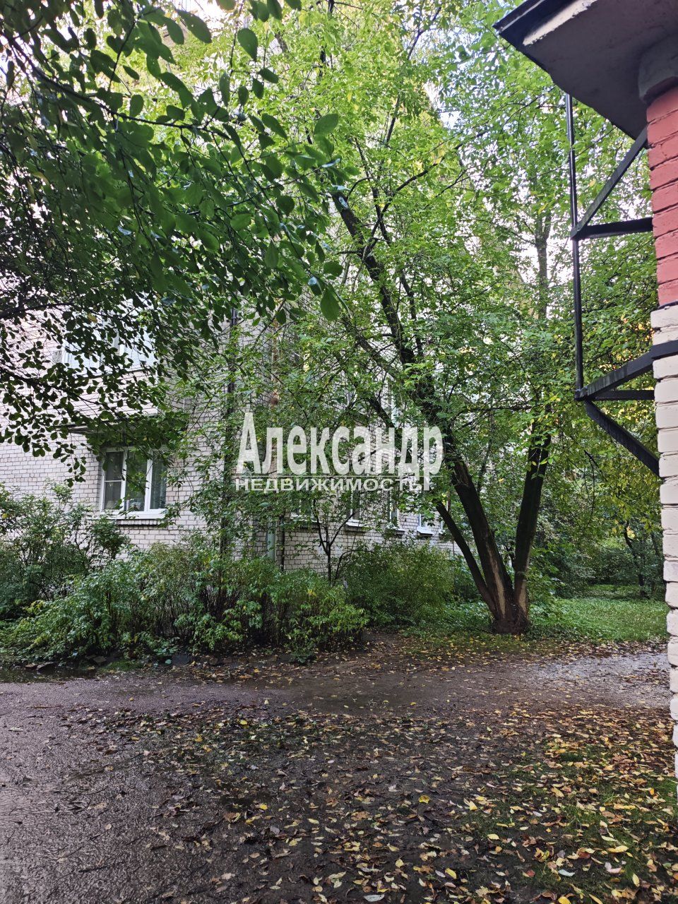 2-комнатная квартира (43м2) на продажу по адресу Санкт-Петербург, проспект Тореза, 78— фото 17 из 19