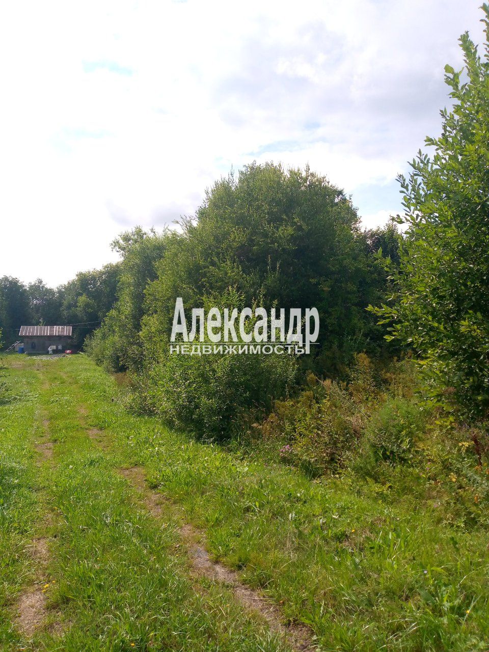 Участок (12м2) на продажу — фото 2 из 17