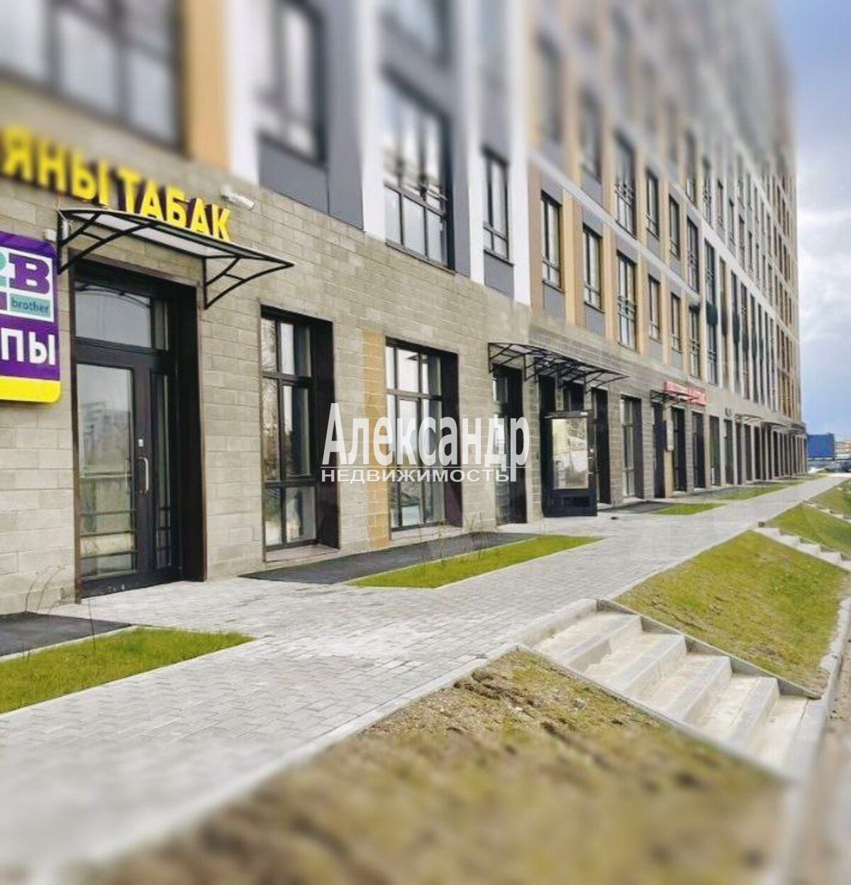 Птицы ленинградской области