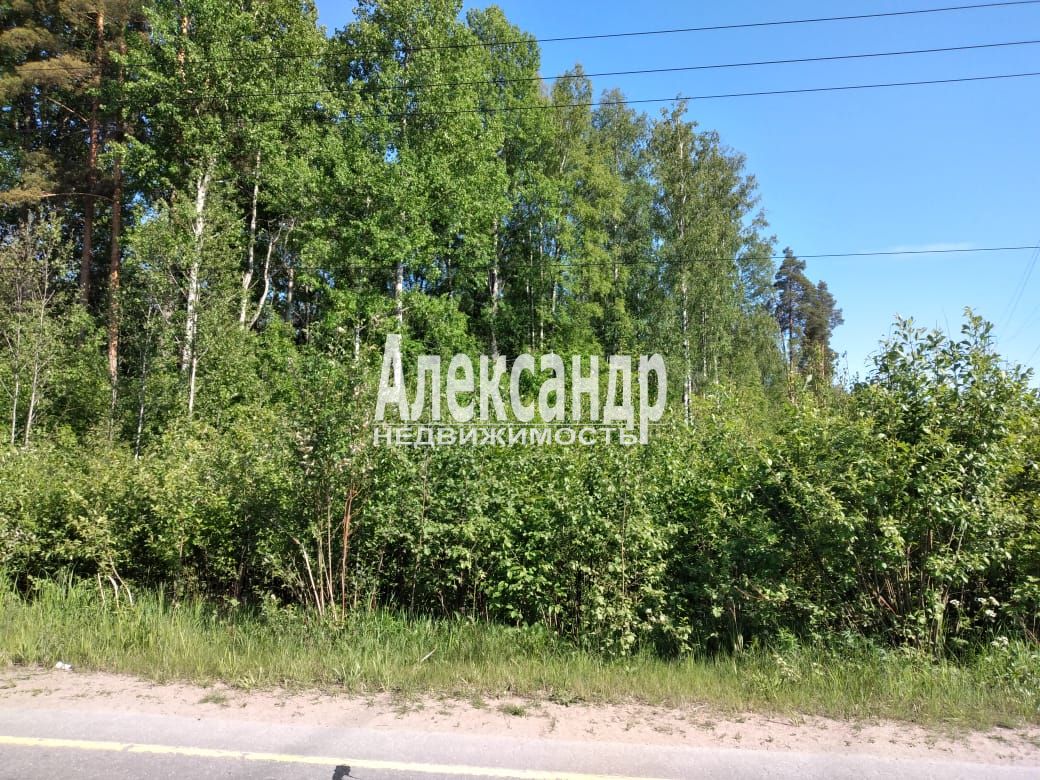 Участок (34м2) на продажу — фото 2 из 4