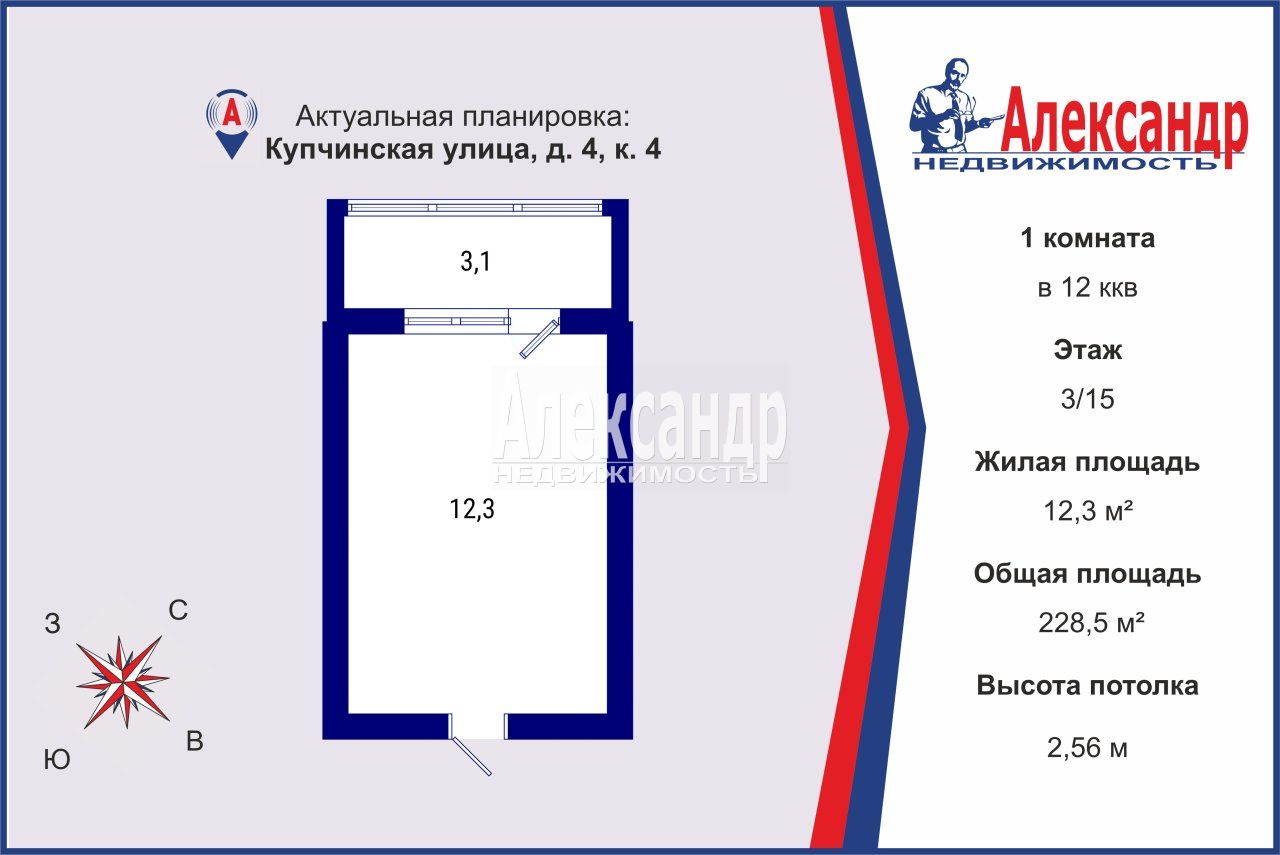 Комната в 12-комнатной квартире (229м2) на продажу по адресу Санкт-Петербург, Купчинская улица, 4к4— фото 1 из 14
