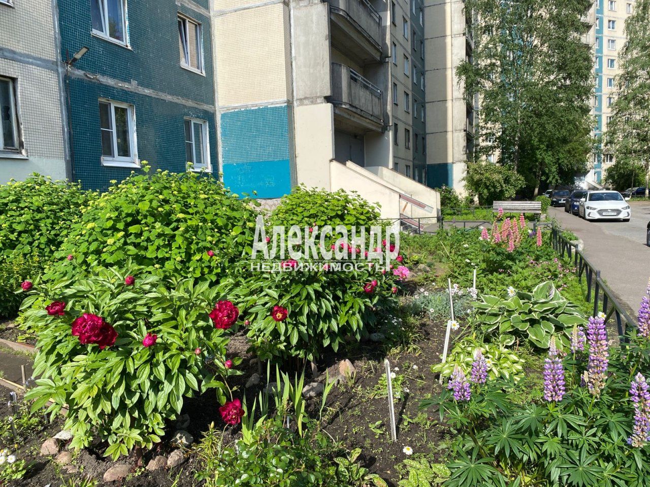3-комнатная квартира (80м2) на продажу по адресу СПб, Приморский р-н, Комендантский просп., д. 32 корп. 1— фото 3 из 29